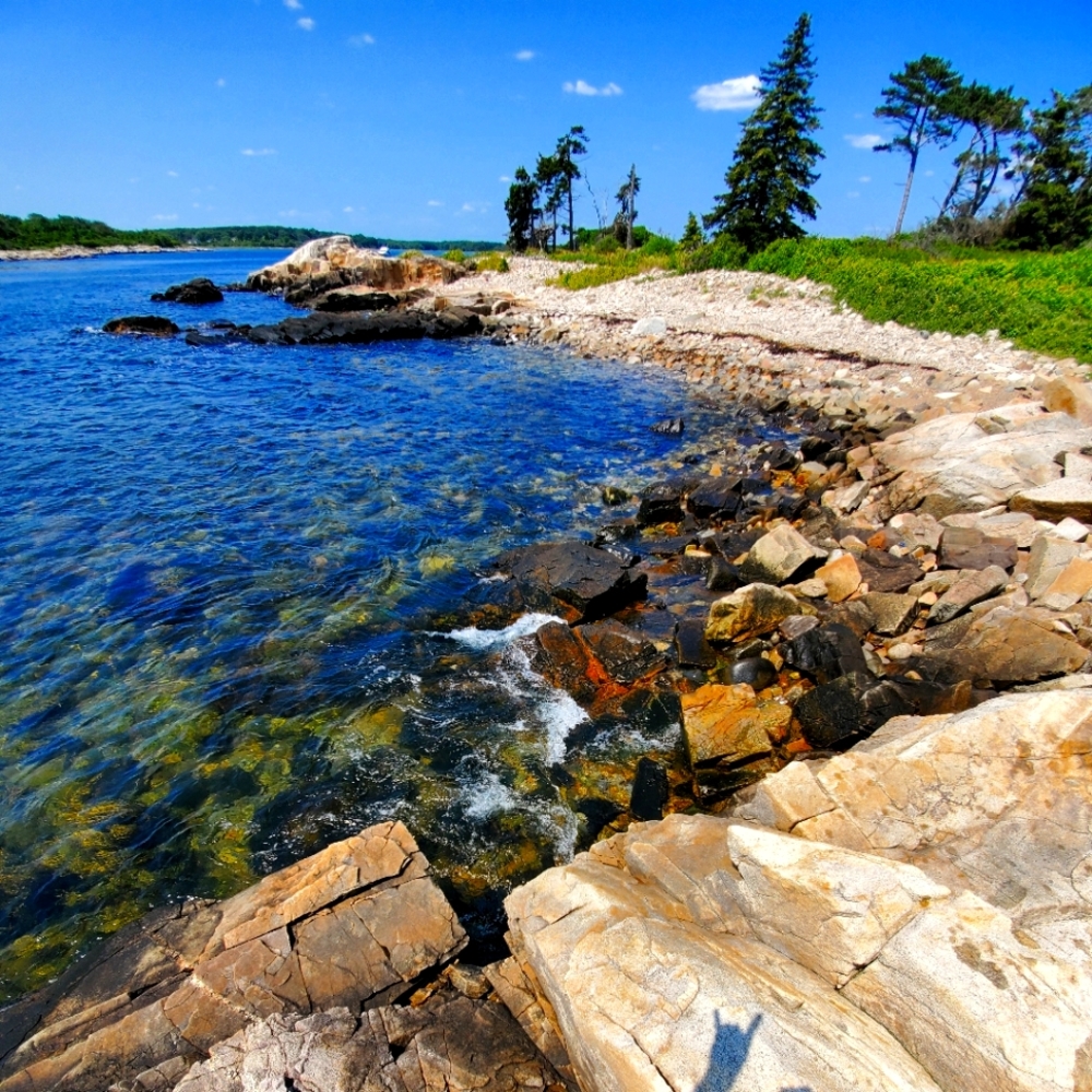 Meet your Posher, David